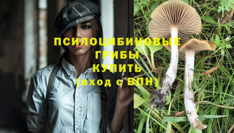 Галлюциногенные грибы Magic Shrooms  Руза 